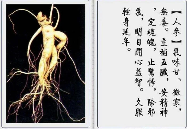 Chinese herbal medicines 118 types(Image and text)-PDF - SL Book Store