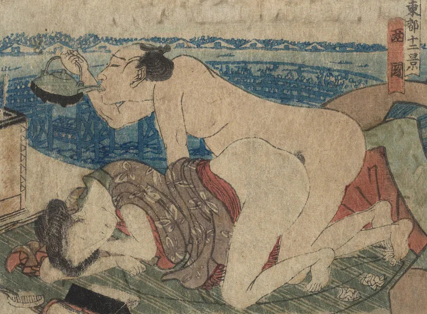 Japanese erotic pictures-PDF - SL Book Store