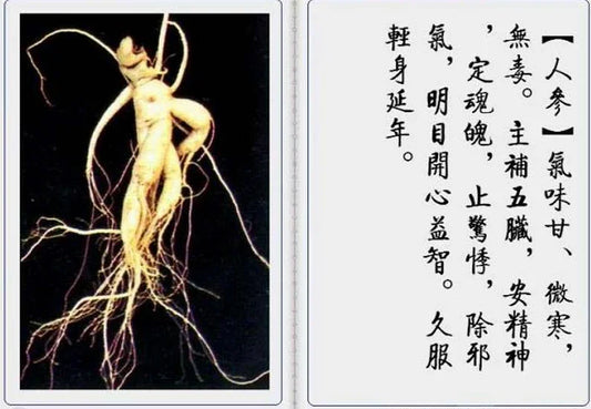 Chinese herbal medicines 118 types（Image and text）-PDF - SL Book Store
