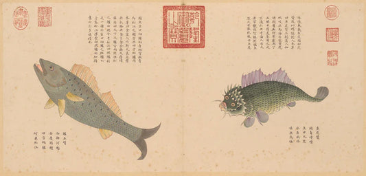 Ancient marine life illustration-PDF - SL Book Store