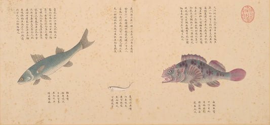 Ancient marine life illustration-PDF - SL Book Store