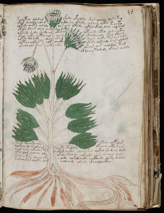 Voynich manuscript. High resolution. Yale University Library collection. Approximately 15th century-PDF - SL Book Store
