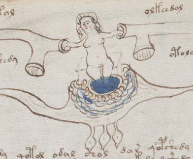 Voynich manuscript. High resolution. Yale University Library collection. Approximately 15th century-PDF - SL Book Store